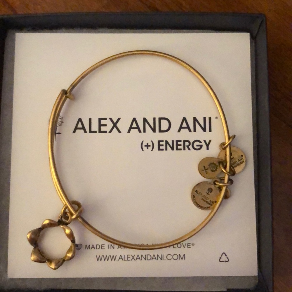 Alex and Ani Gold Crown Charm Bracelet